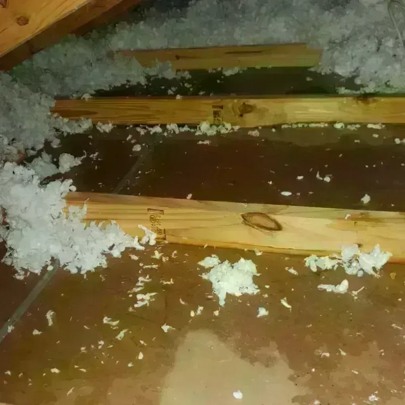 Attic Water Damage in Hackberry, LA